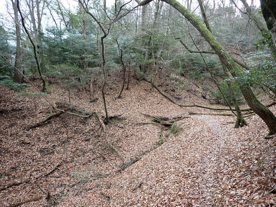 P1179702_mid.jpg