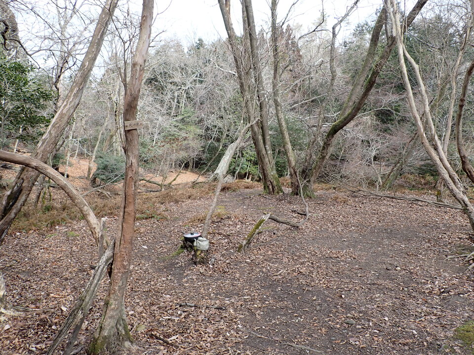 P1179709_mid.jpg