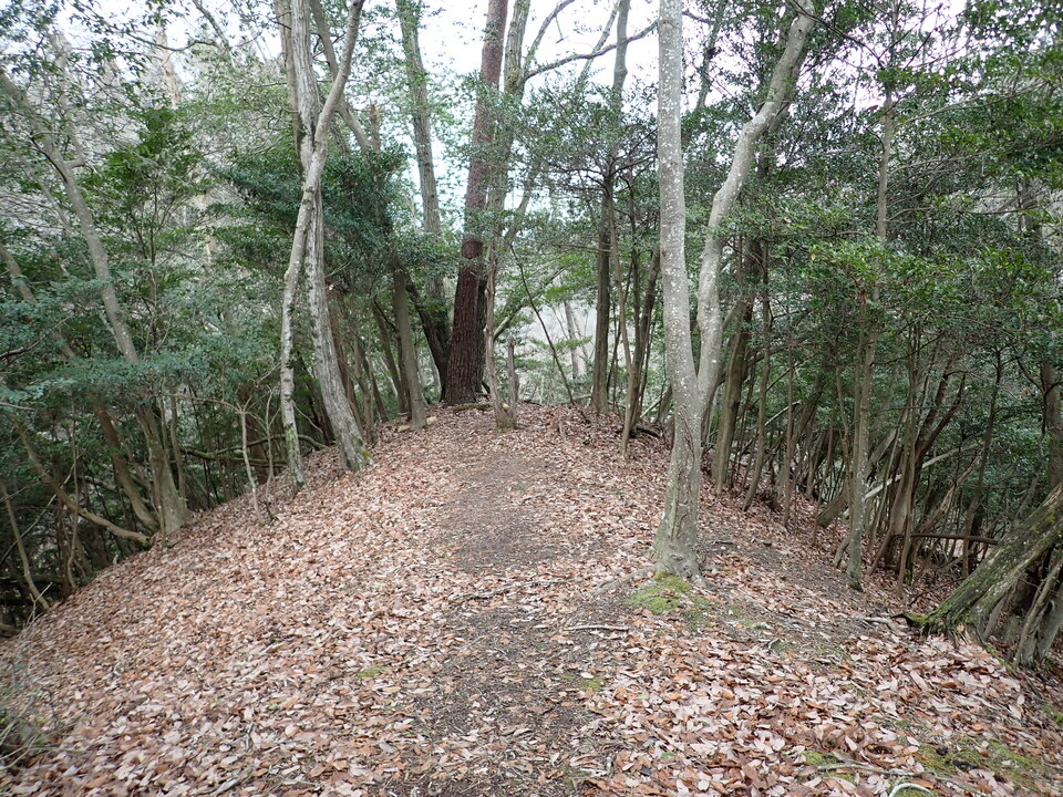 P1179718_mid.jpg