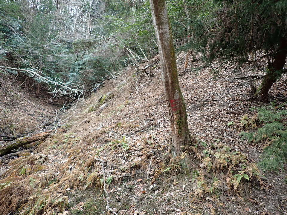 P1179770_mid.jpg