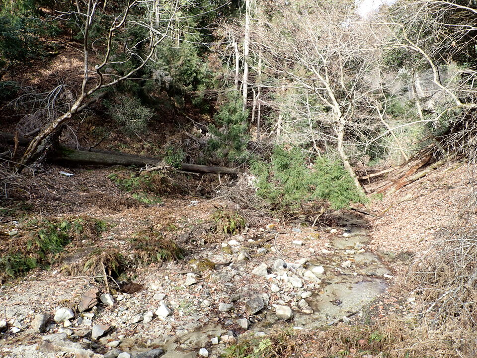 P1179776_mid.jpg