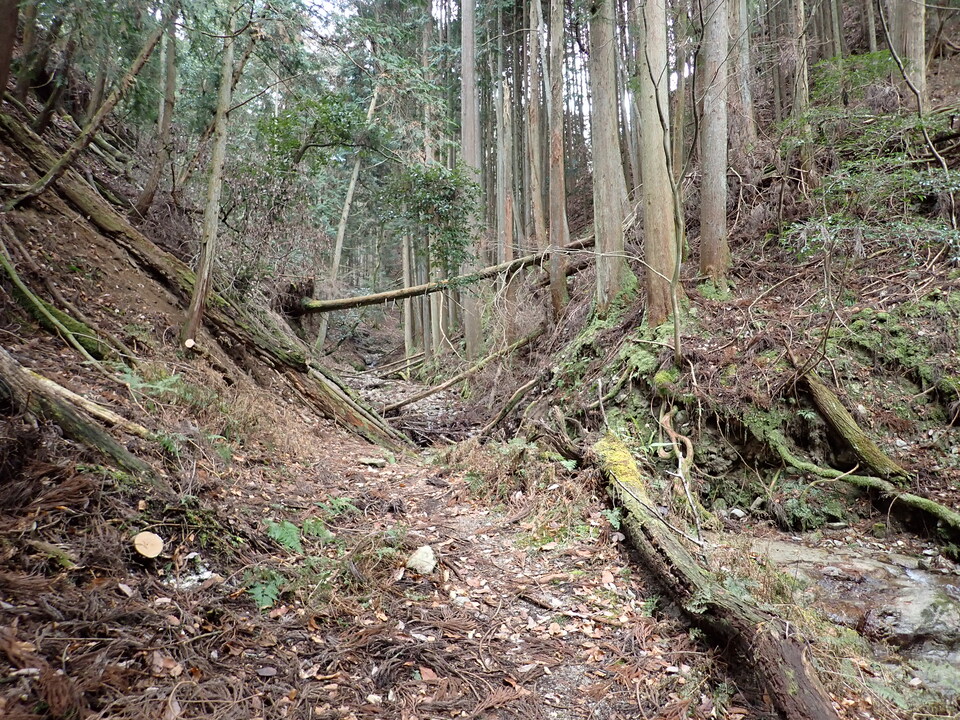 P1179848_mid.jpg