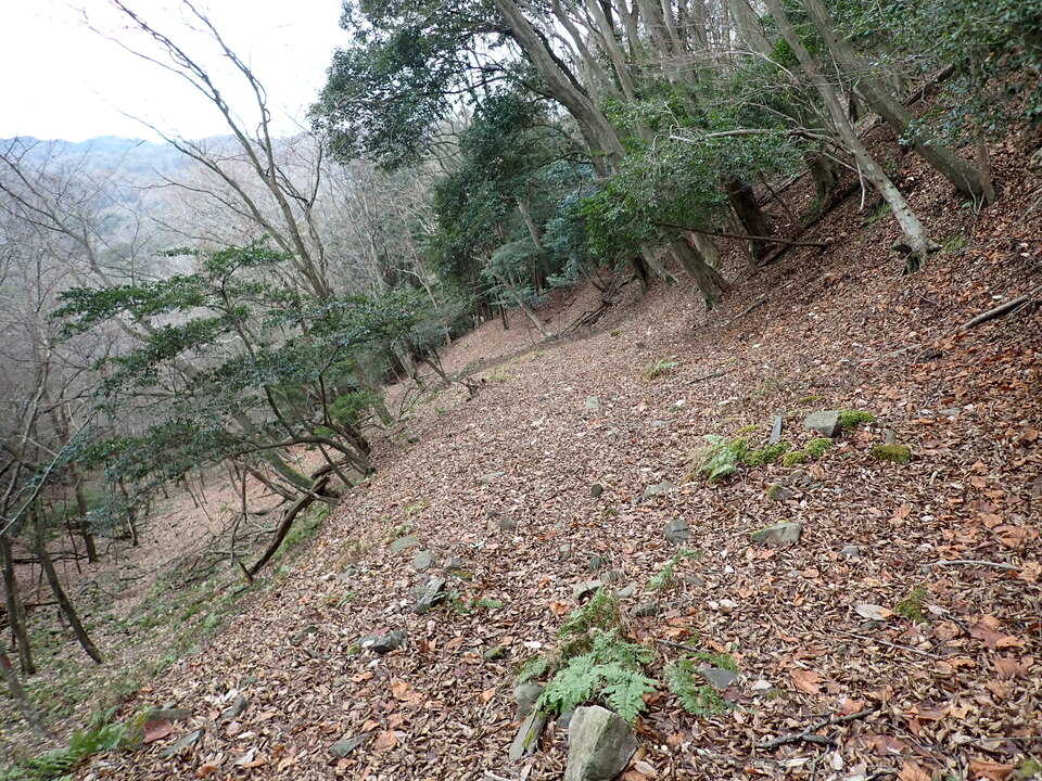 P1179985_mid.jpg