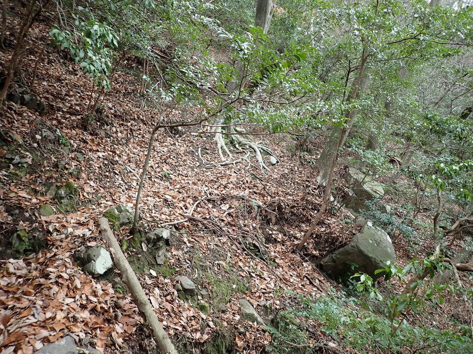 P1179995_mid.jpg