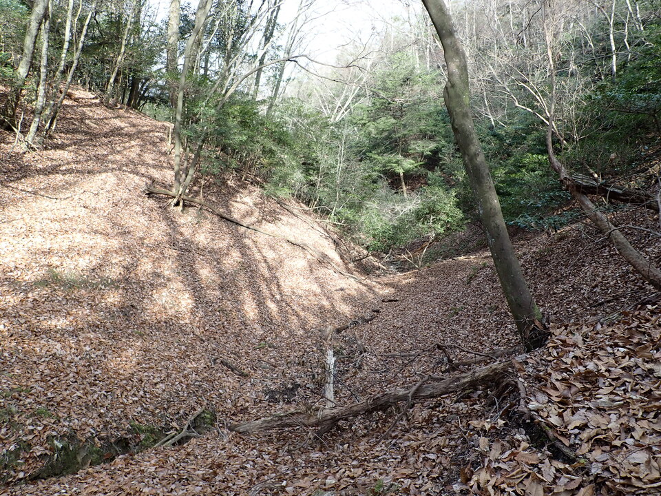 P1310074_mid.jpg