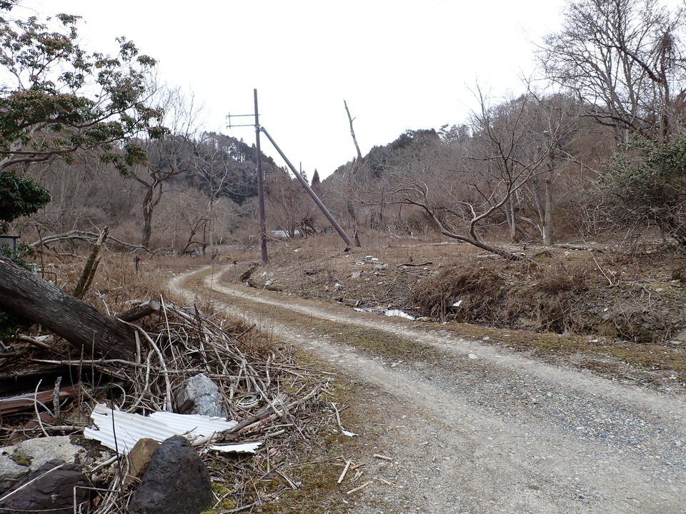 P1310094_mid.jpg