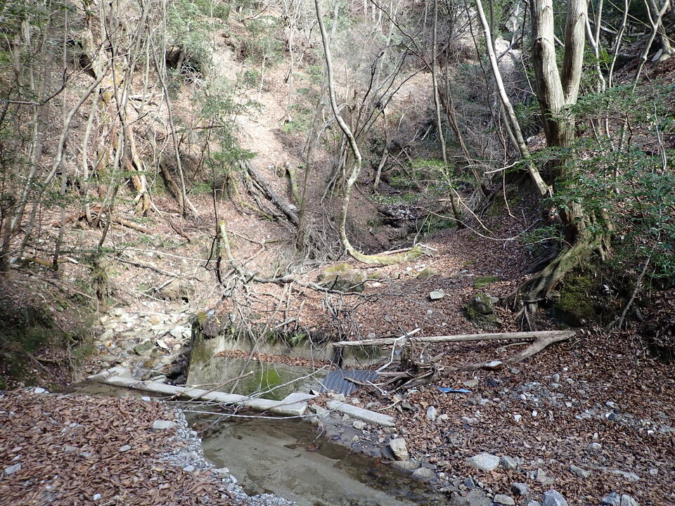 P1310127_mid.jpg