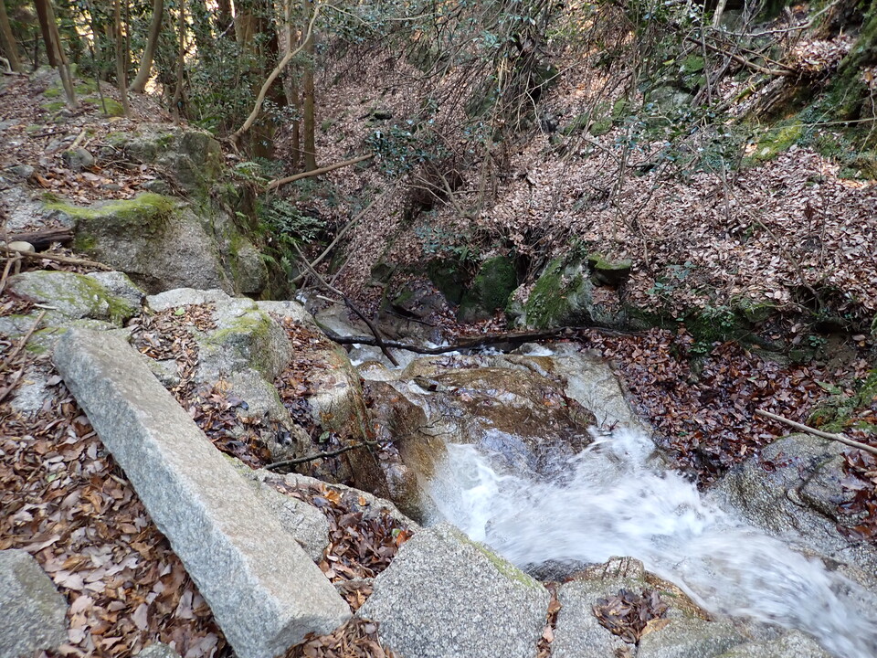 P1310148_mid.jpg