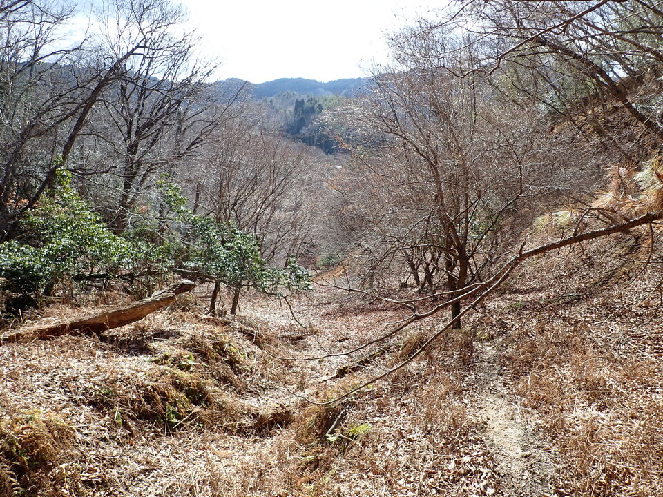 P1310178_mid.jpg