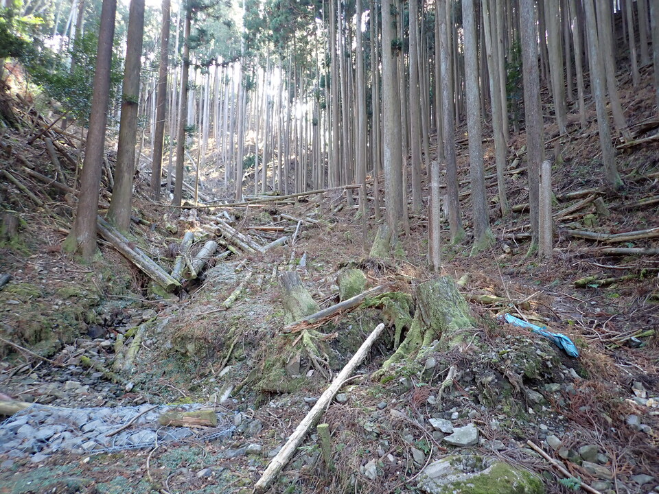 P1310231_mid.jpg