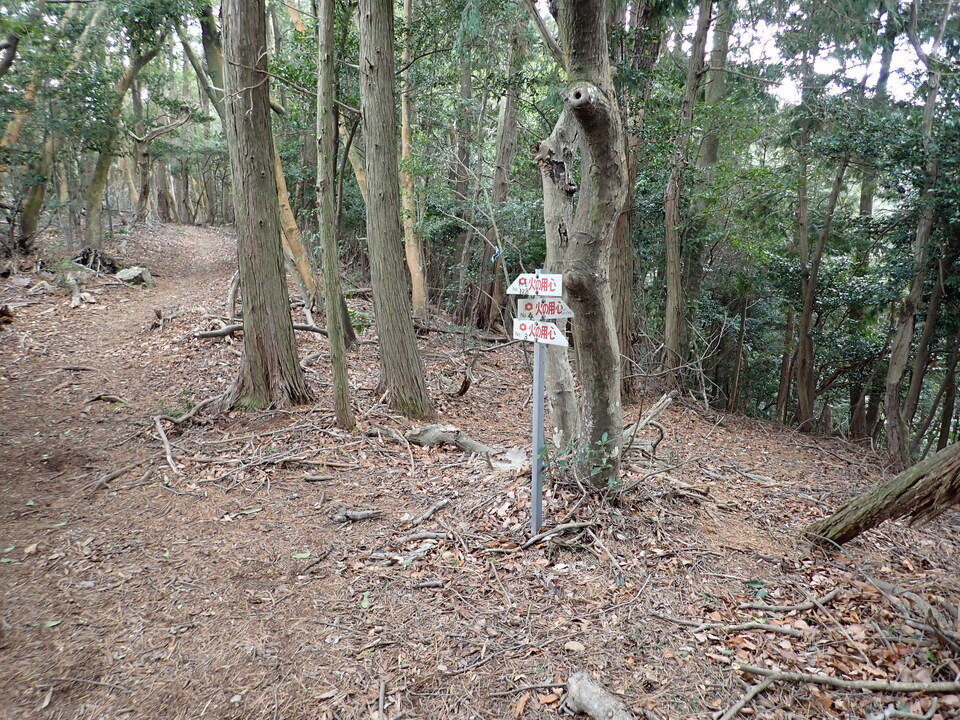 P1310327_mid.jpg