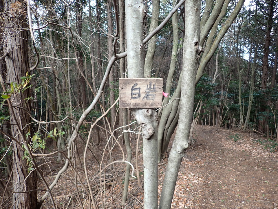 P1310376_mid.jpg