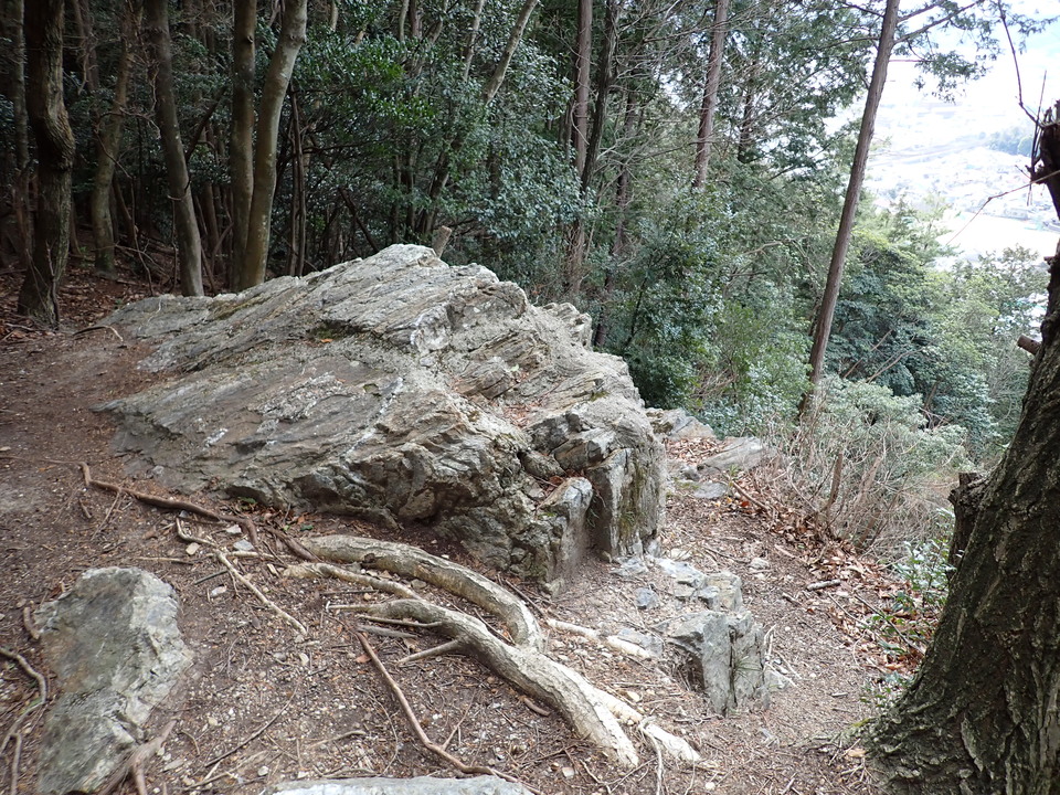 P1310377_mid.jpg