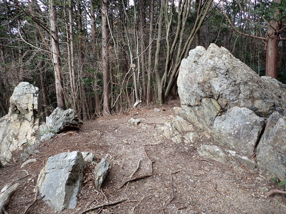 P1310379_mid.jpg