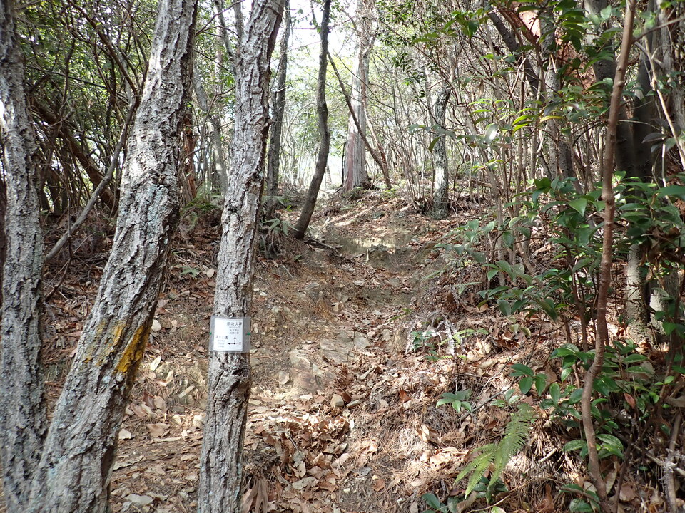 P1310395_mid.jpg