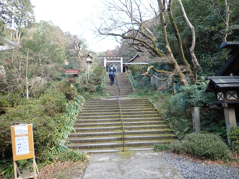 P2070439_mid.jpg