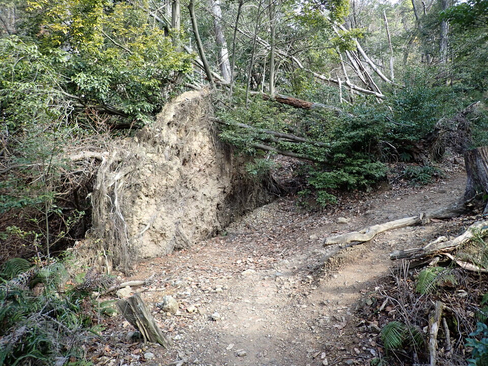 P2070454_mid.jpg