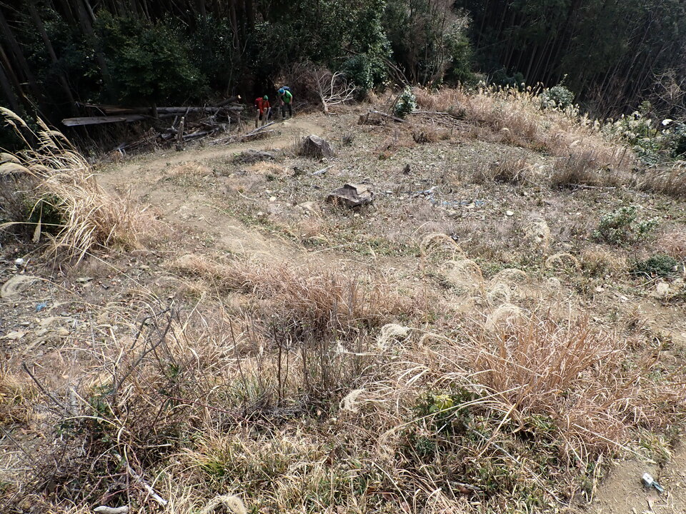 P2070479_mid.jpg