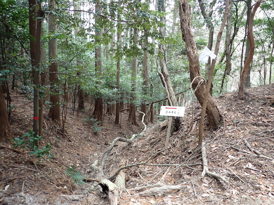 P2070519_mid.jpg