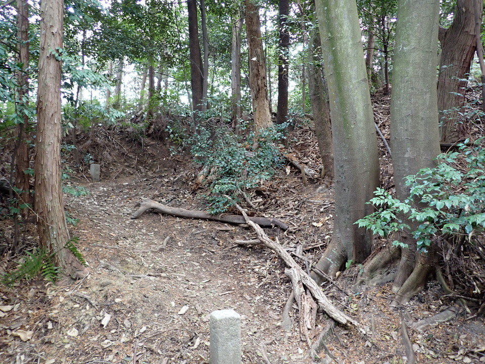 P2070521_mid.jpg