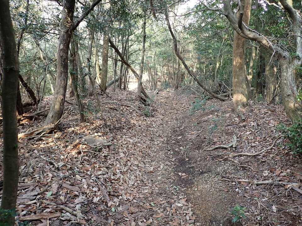 P2070569_mid.jpg