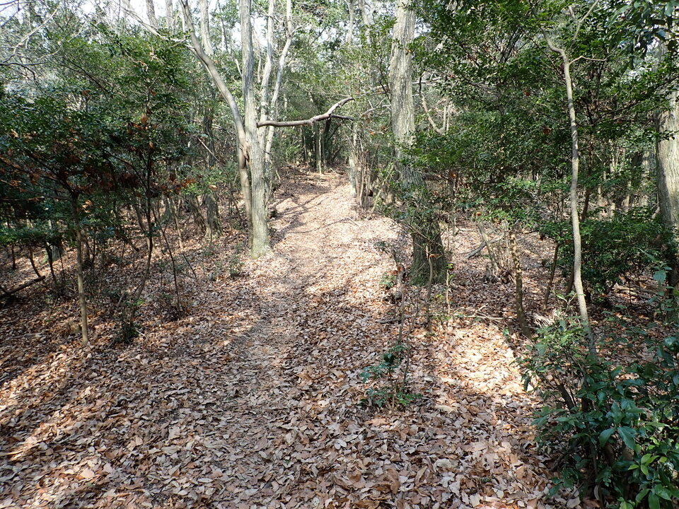 P2070586_mid.jpg
