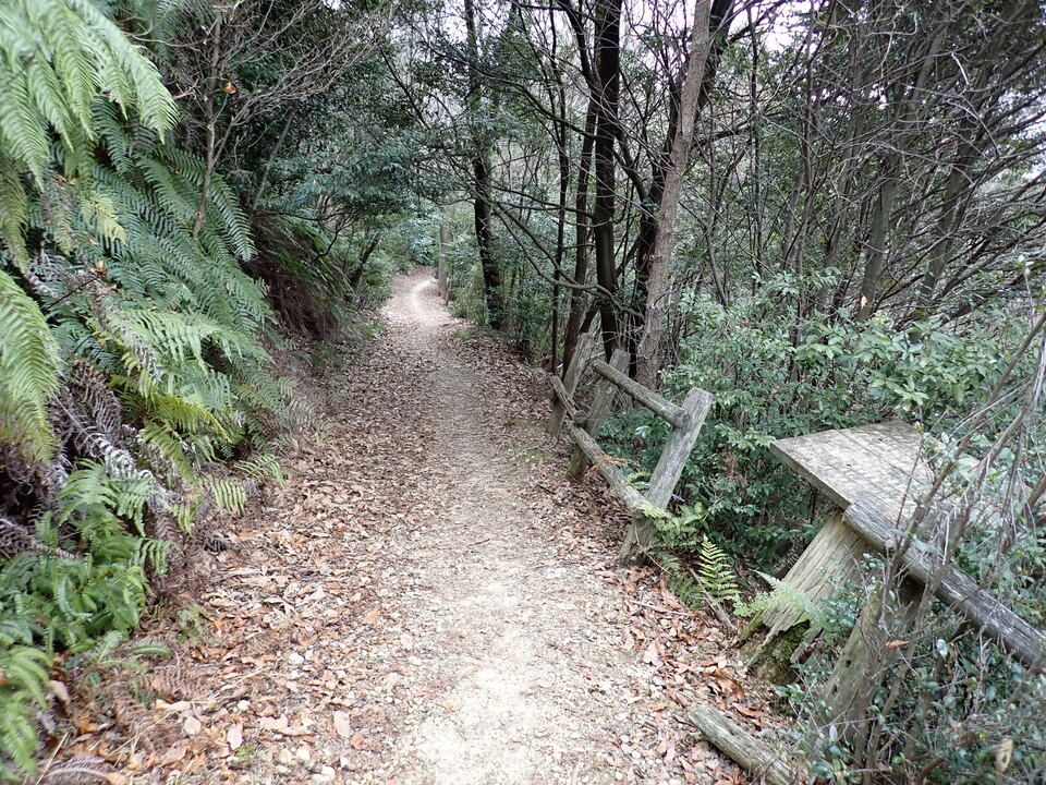 P2070629_mid.jpg