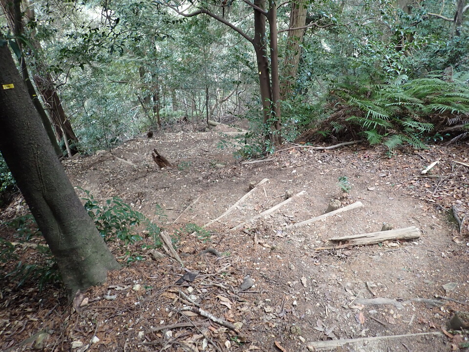 P2070641_mid.jpg