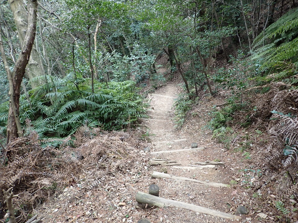 P2070642_mid.jpg
