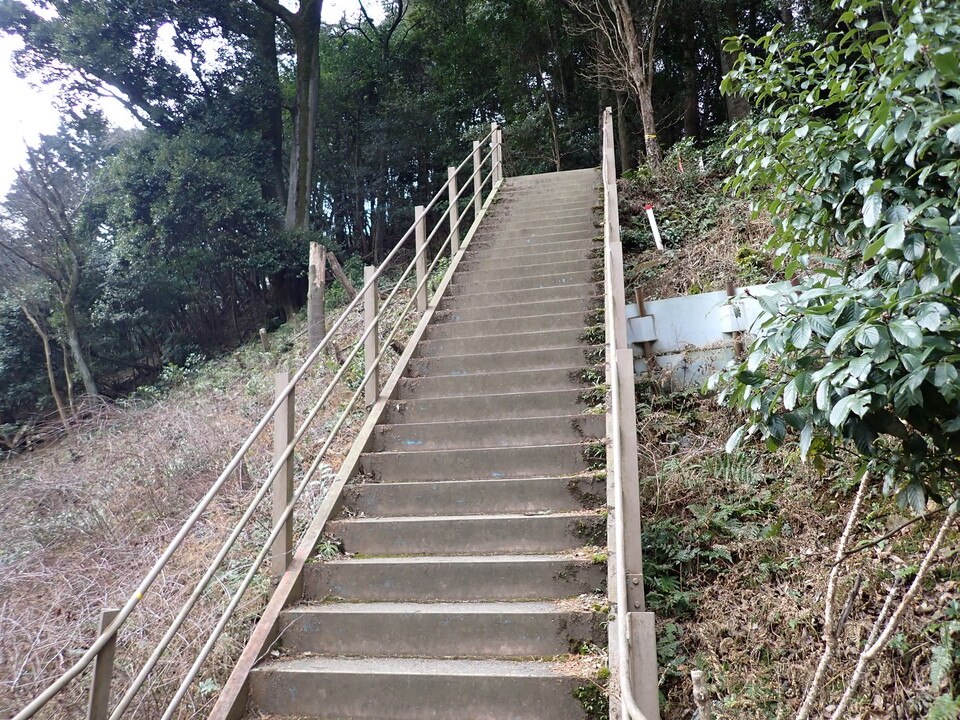 P2070661_mid.jpg