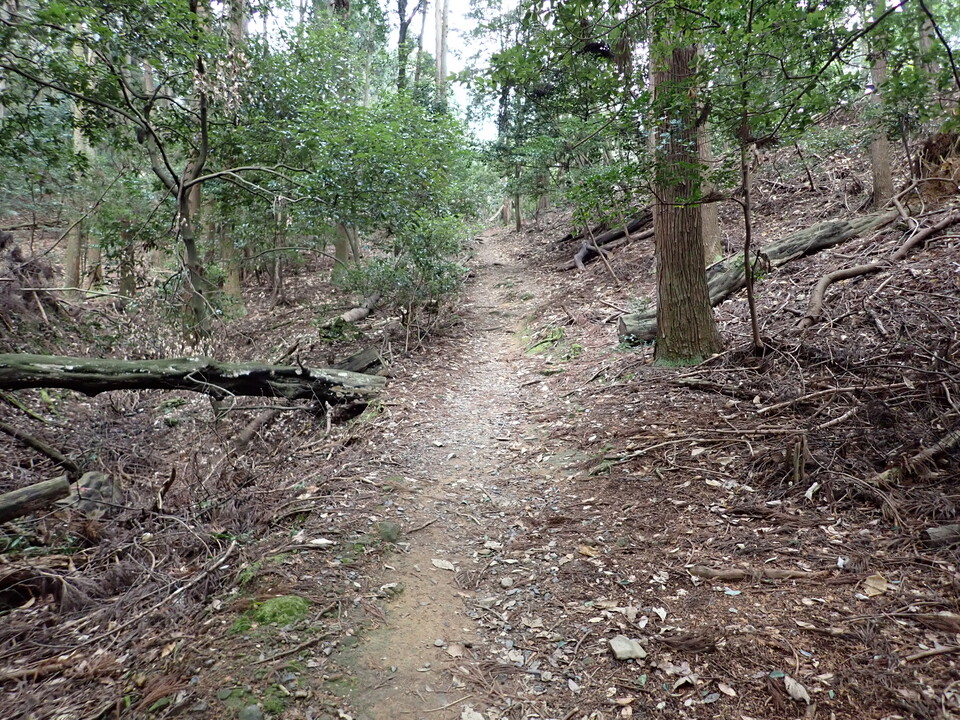 P2070665_mid.jpg