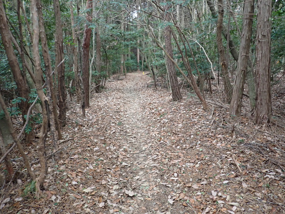 P2070684_mid.jpg