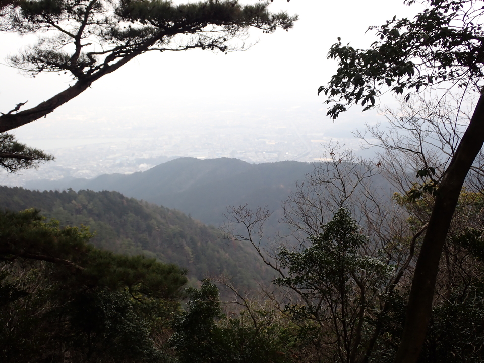 P2070756_mid.jpg