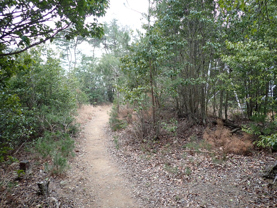 P2070781_mid.jpg