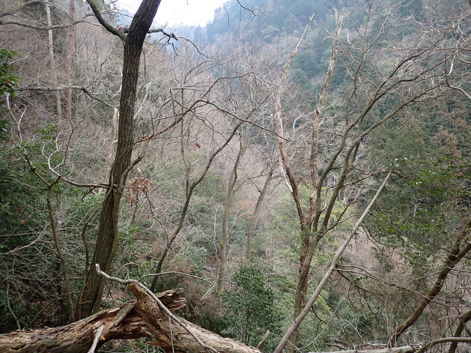 P2070792_mid.jpg