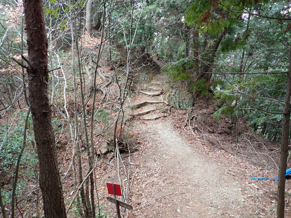 P2070794_mid.jpg
