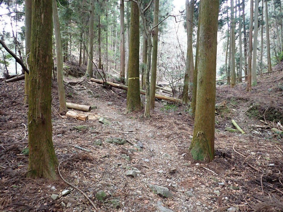 P2070826_mid.jpg