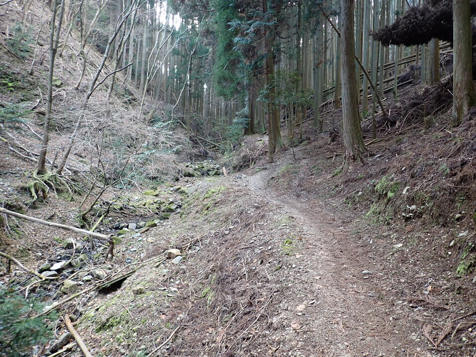 P2070835_mid.jpg