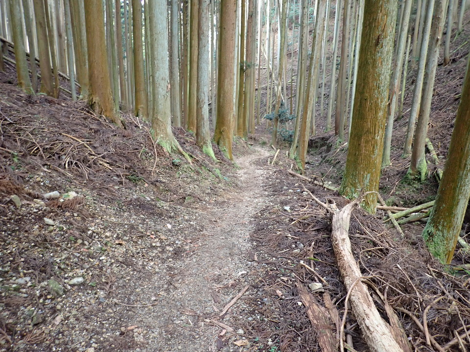 P2070838_mid.jpg