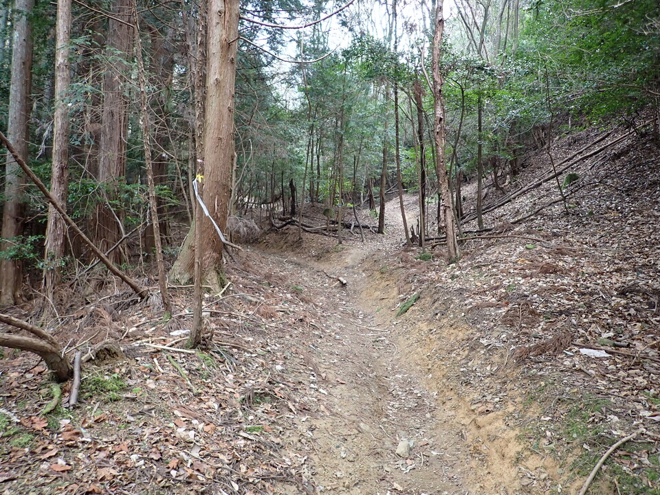 P2070863_mid.jpg