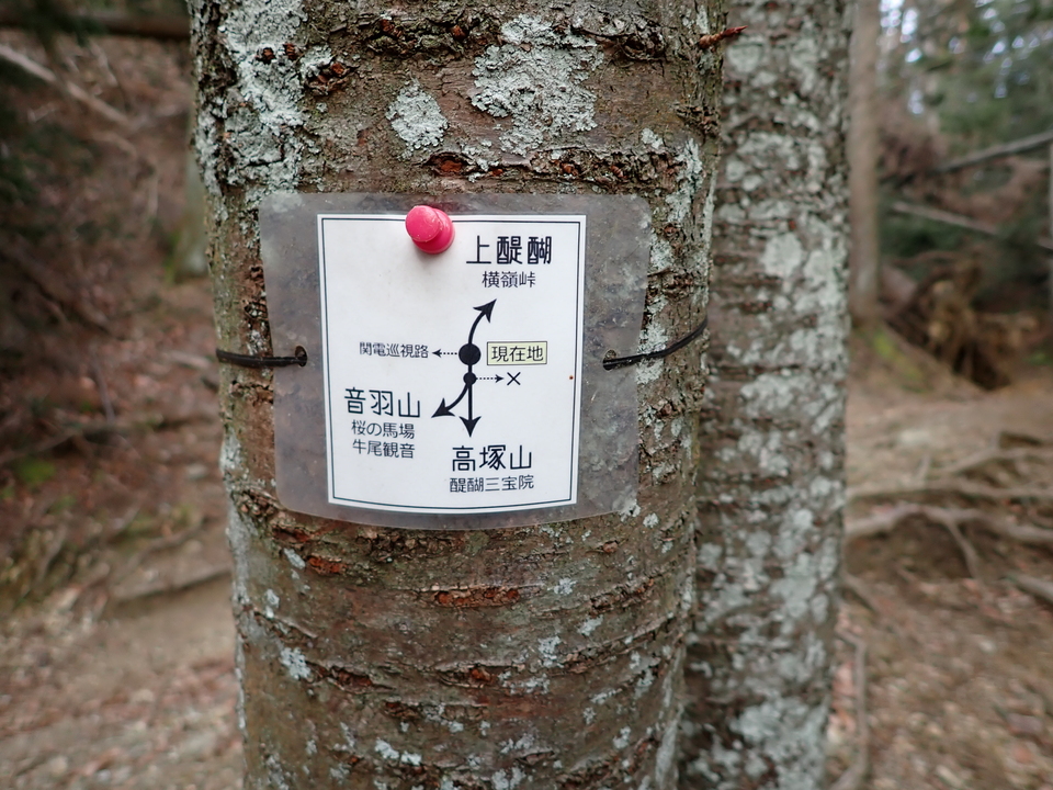 P2070870_mid.jpg