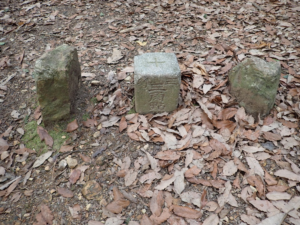 P2070873_mid.jpg