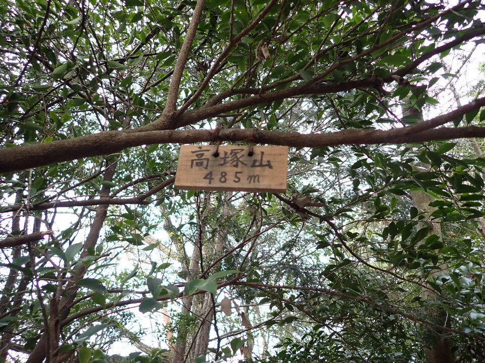 P2070875_mid.jpg