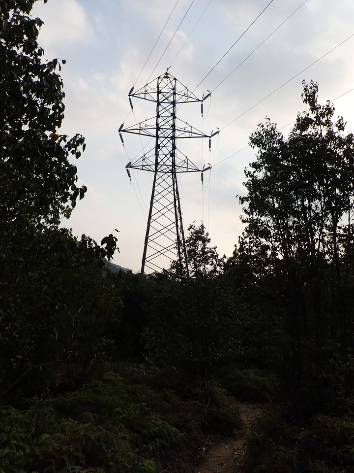 P2070892_mid.jpg