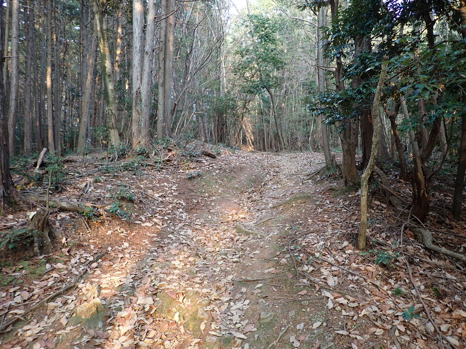 P2070898_mid.jpg