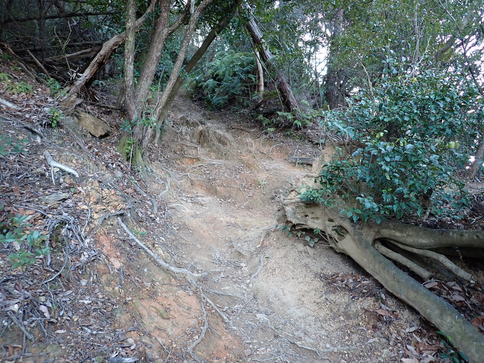 P2130941_mid.jpg