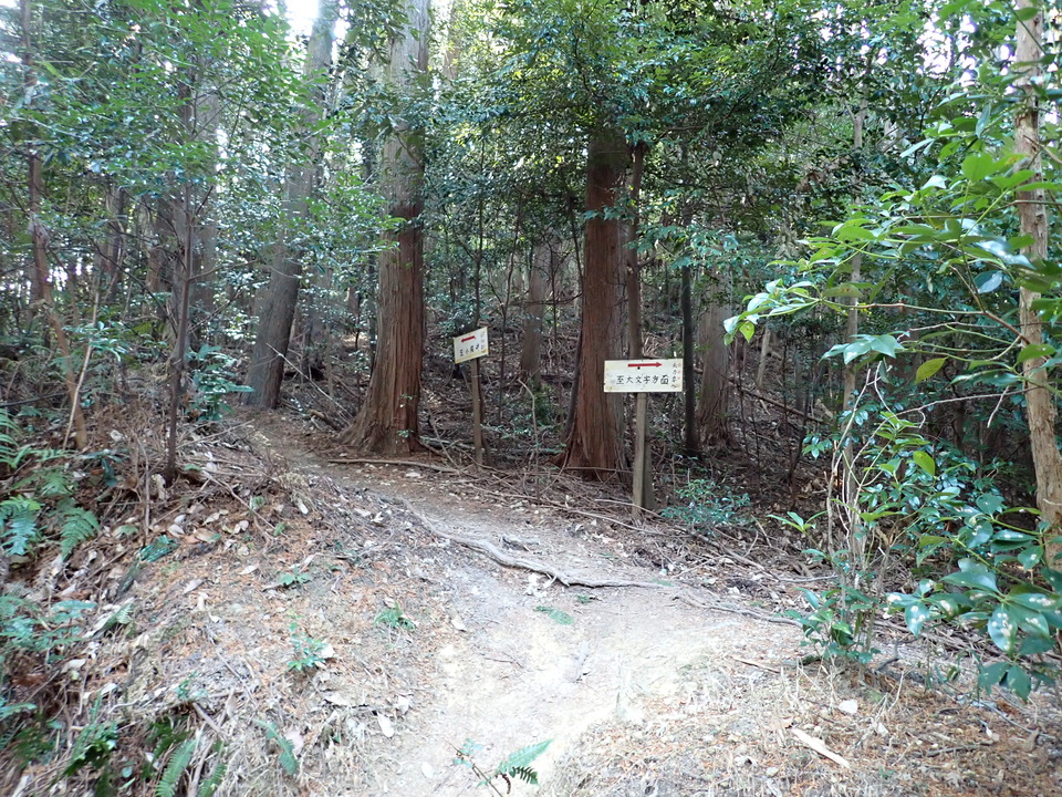 P2130985_mid.jpg