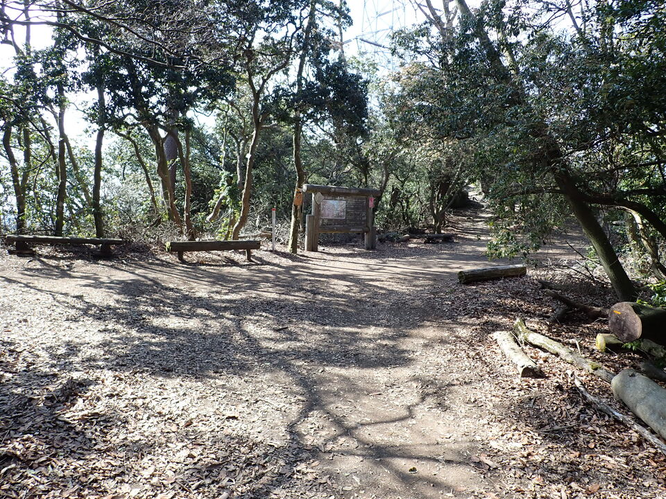 P2131056_mid.jpg