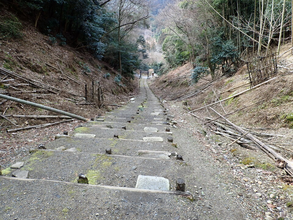 P2131085_mid.jpg
