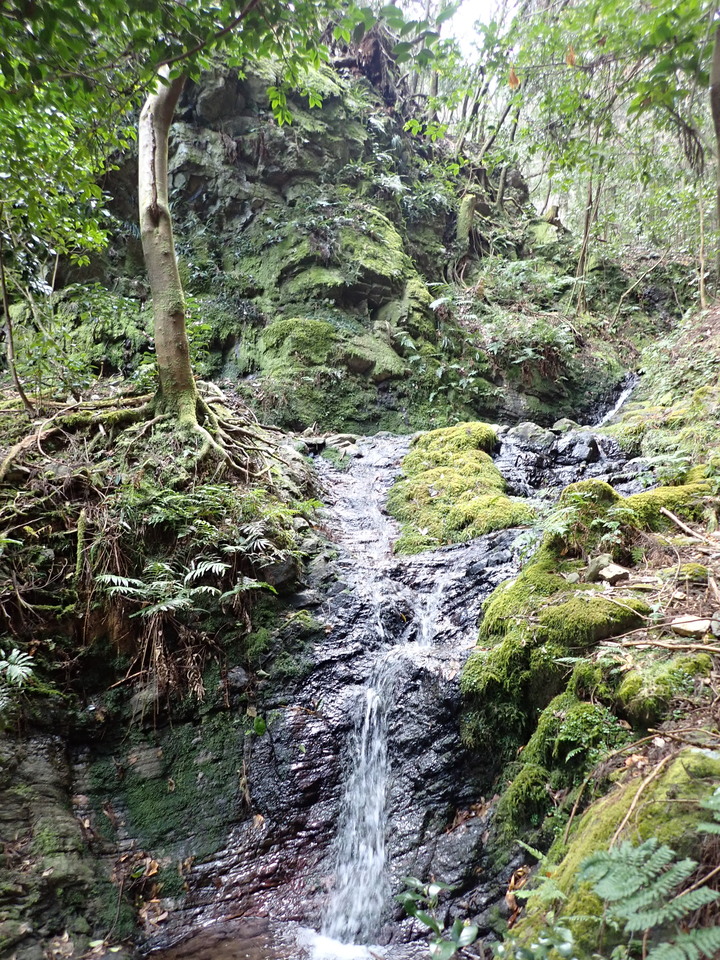 P2131094_mid.jpg